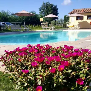 Punta Dei Lecci , Riparbella Italië